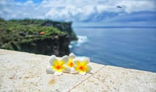2022年春节假期去哪里旅游好 2022年春节假期去哪旅游好