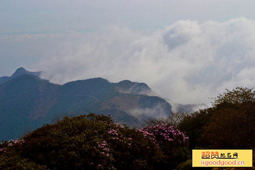 云甸附近景点龙肘山