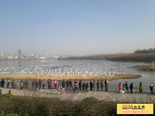 会兴附近景点天鹅湖国家城市湿地公园