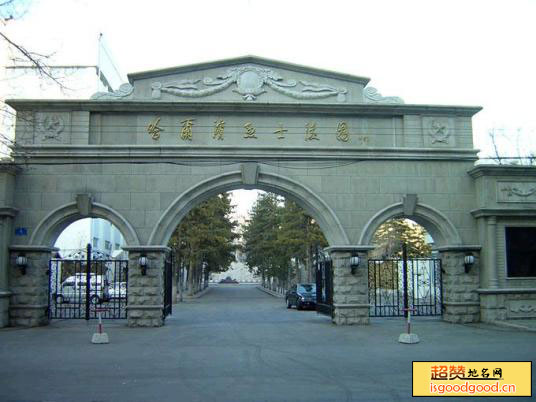 健康路附近景点哈尔滨烈士陵园