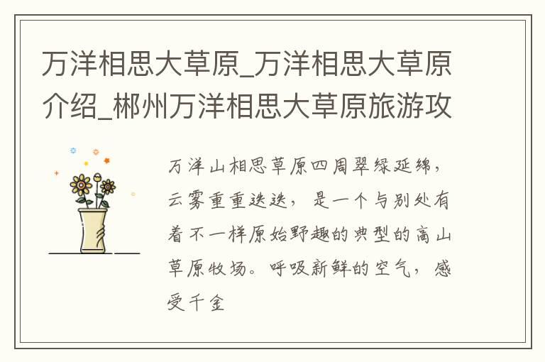 万洋相思大草原_万洋相思大草原介绍_郴州万洋相思大草原旅游攻略