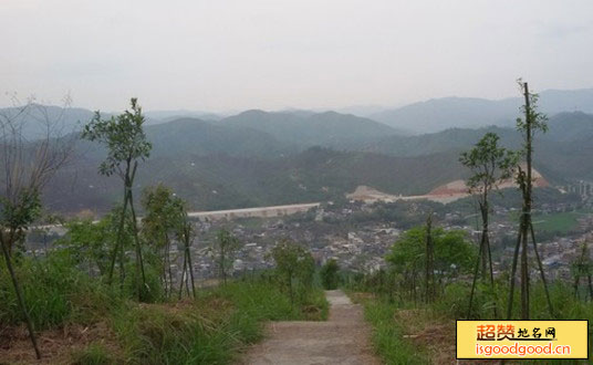 刁坊附近景点朱岭寨森林公园