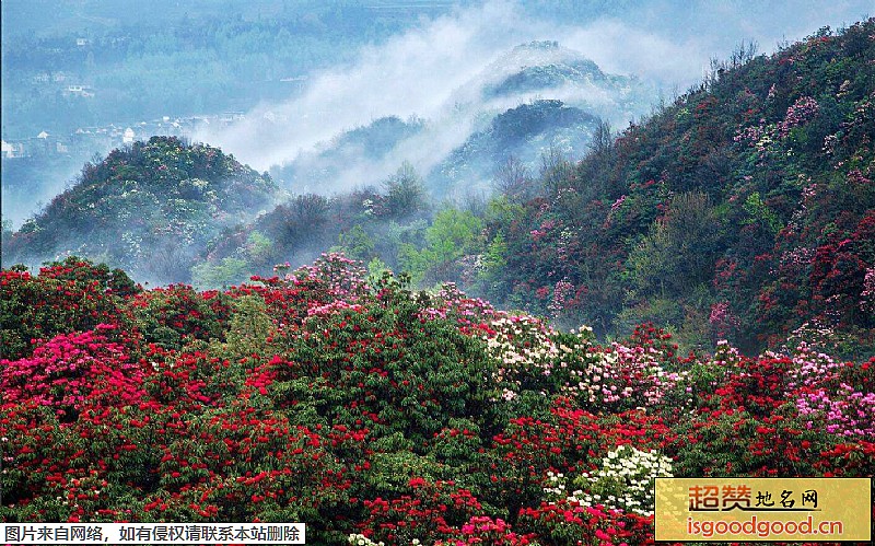 六龙附近景点百里杜鹃风景区