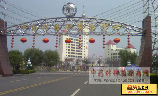 北段村附近景点安国东方药城
