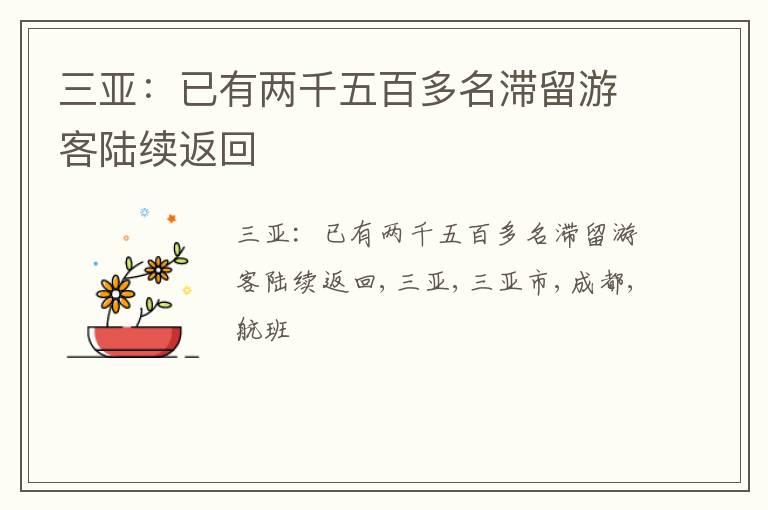 三亚：已有两千五百多名滞留游客陆续返回