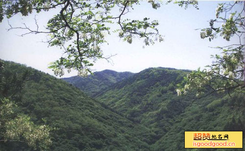 南涧县灵宝山国家森林公园灵宝山国家森林公园