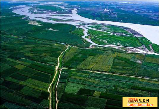 嘉尔格勒赛汉附近景点阿拉善黄河国家湿地公园