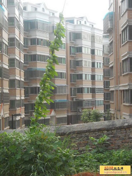 城子街附近景点金穗山庄