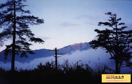 大固本附近景点梨山