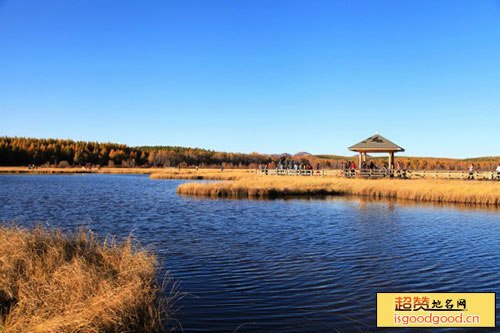 大岗子附近景点东沟湿地狩猎场
