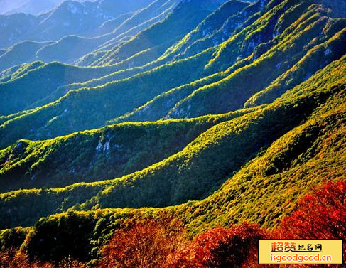 大字沟门附近景点都山森林公园