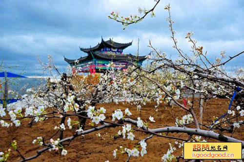 娄仗子附近景点梨花节