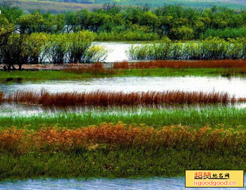 宝东附近景点东方红湿地国家级自然保护区