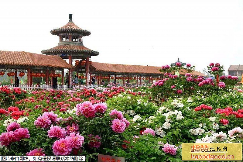 小留附近景点曹州牡丹园