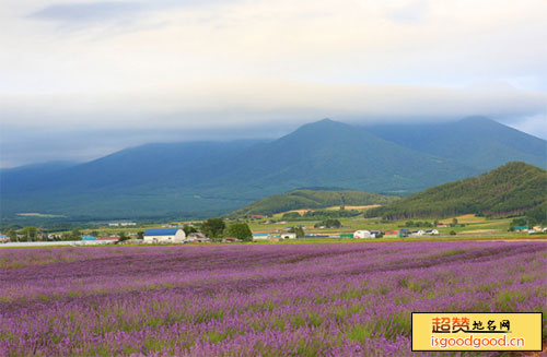 寻甸县凤龙湾景区薰衣草庄园凤龙湾景区薰衣草庄园