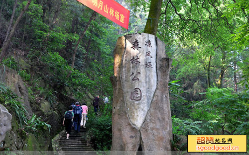 尧龙山附近景点凉风垭森林公园