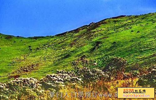 平通羌族附近景点泗洱自然保护区