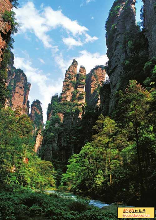 平富附近景点五指峰国家森林公园