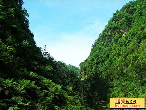 巡场附近景点龙抱山自然风景区