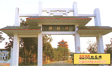 徐集附近景点横排头