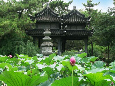 上海古猗园旅游攻略