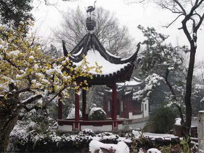 上海古猗园旅游攻略