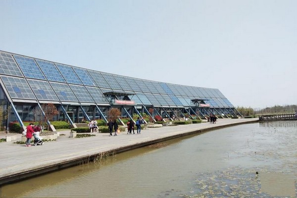 上海东滩湿地公园旅游攻略