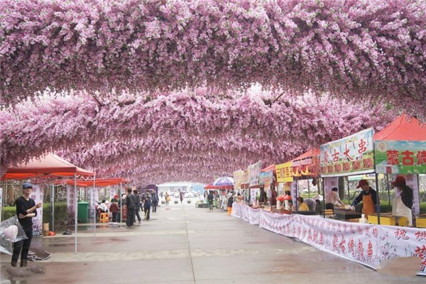 上海南汇桃花村旅游攻略