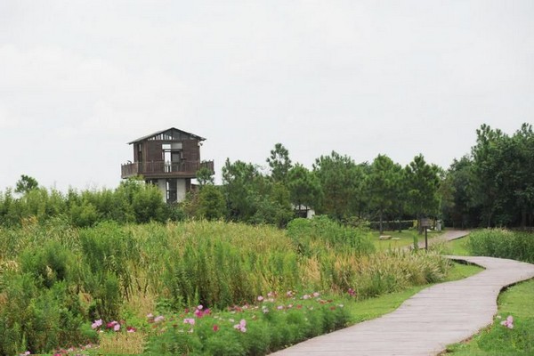 上海东滩湿地公园旅游攻略