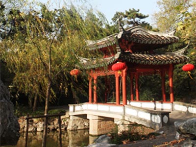 上海古猗园旅游攻略