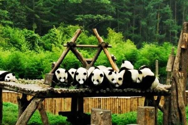 上海动物园旅游攻略