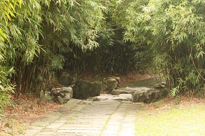 上海植物园旅游攻略