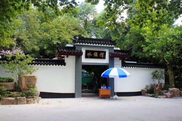 上海和平公园旅游攻略