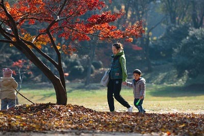 上海植物园旅游攻略