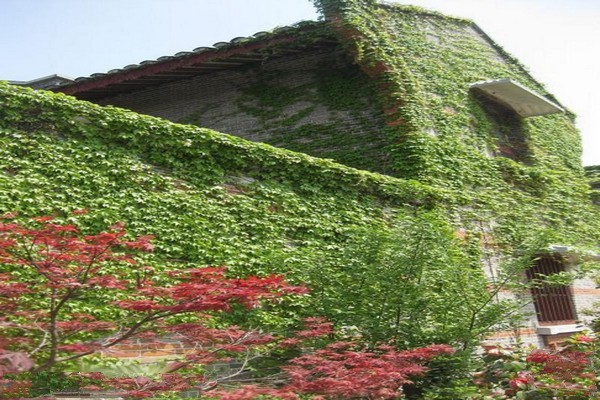 上海吴昌硕纪念馆旅游攻略