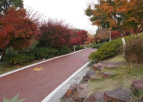 上海大宁公园旅游攻略