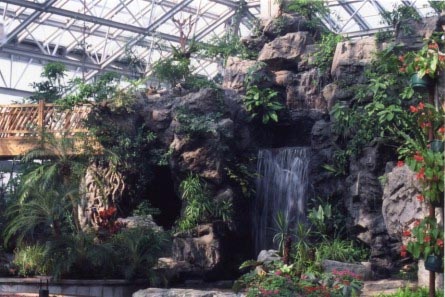 上海植物园旅游攻略