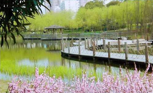 上海大宁公园旅游攻略