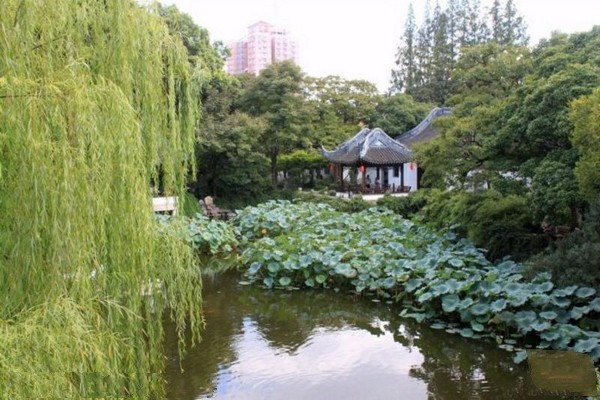 上海曲水园旅游攻略