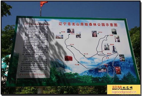 普乐堡附近景点苍龙山原始森林公园