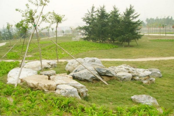上海永清公园旅游攻略
