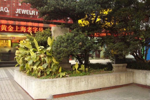 上海嘉定古城旅游攻略