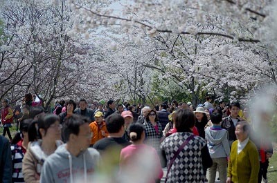 上海植物园旅游攻略