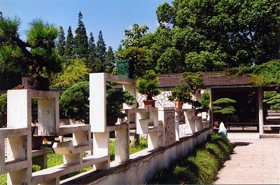 上海植物园旅游攻略