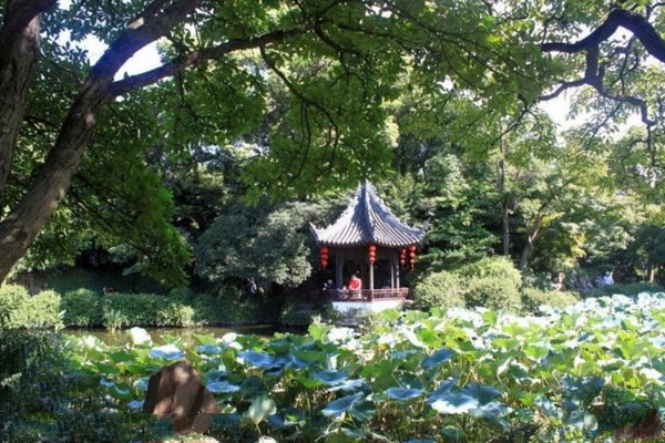 上海曲水园旅游攻略
