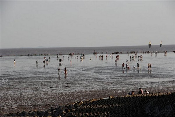 上海奉贤海湾旅游区旅游攻略
