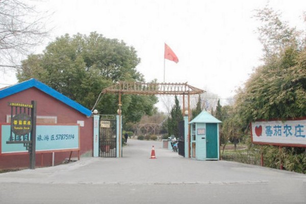 上海松江番茄农庄旅游攻略