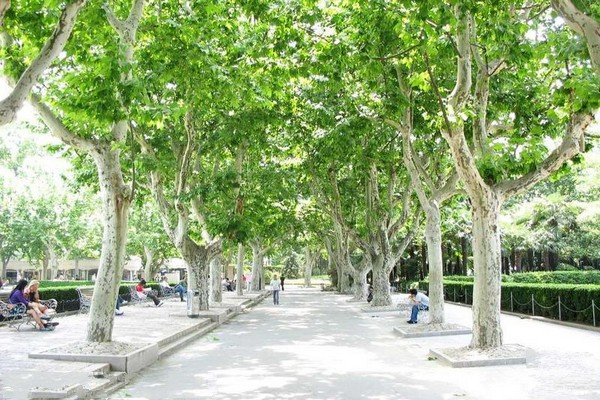 上海复兴公园旅游攻略
