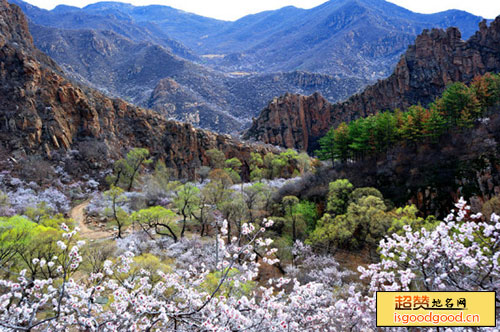 木头城子附近景点努鲁尔虎山自然保护区