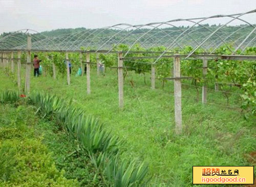 李郁庄附近景点昌利农业旅游示范园